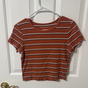 American Eagle Outfitters Rust Striped Crop Top